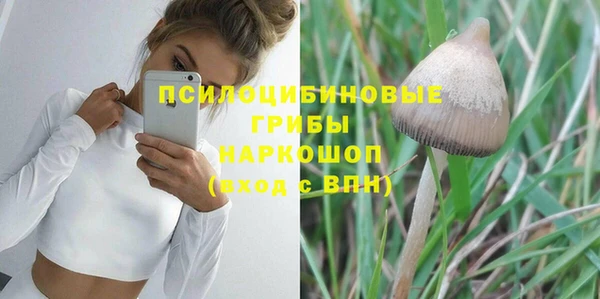 крисы Михайловск