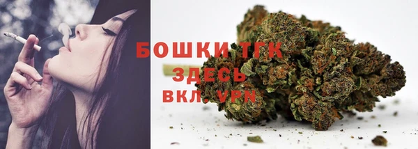 прущие грибы Абаза