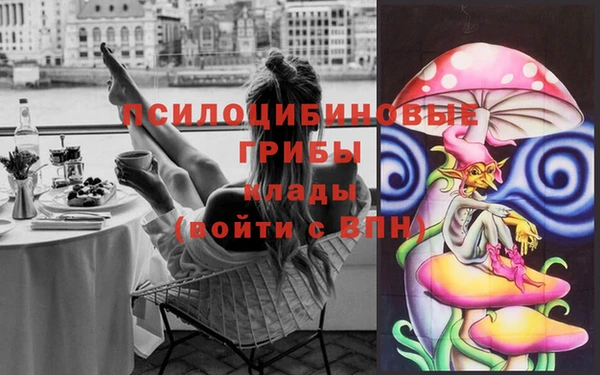 прущие грибы Абаза