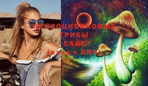 прущие грибы Абаза