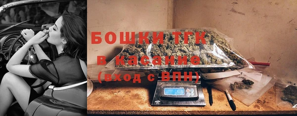прущие грибы Абаза