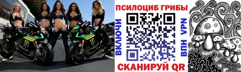 Галлюциногенные грибы MAGIC MUSHROOMS  Александров 